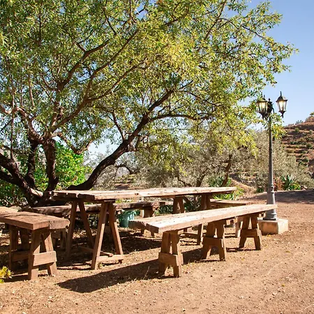 Holiday home Alegre Y Ole *